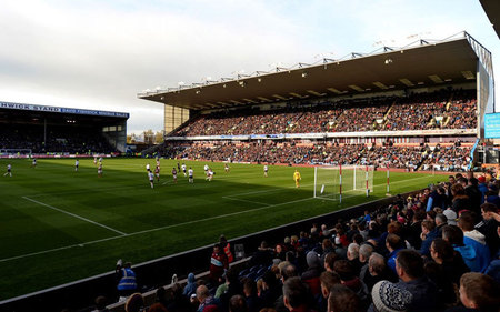 花球迷的新 花球迷的新